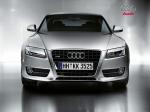 Audi A5 Coupe 3.0 TDI Quattro 2007 года